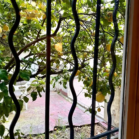 106 - T2 Avec Jardin Dans Une Ancienne Appartement *